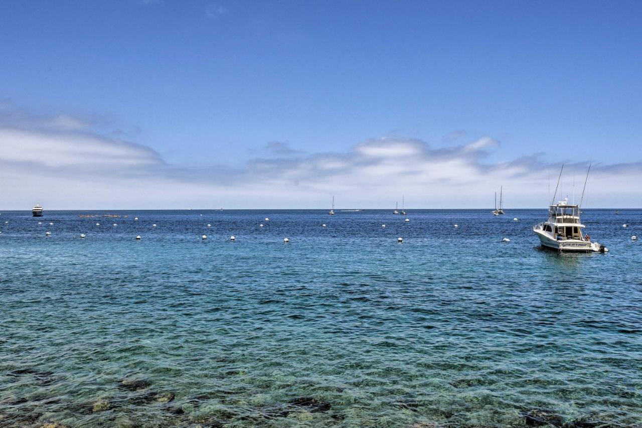 Catalina Island - Walk To Main St And Beach! Holiday home Avalon